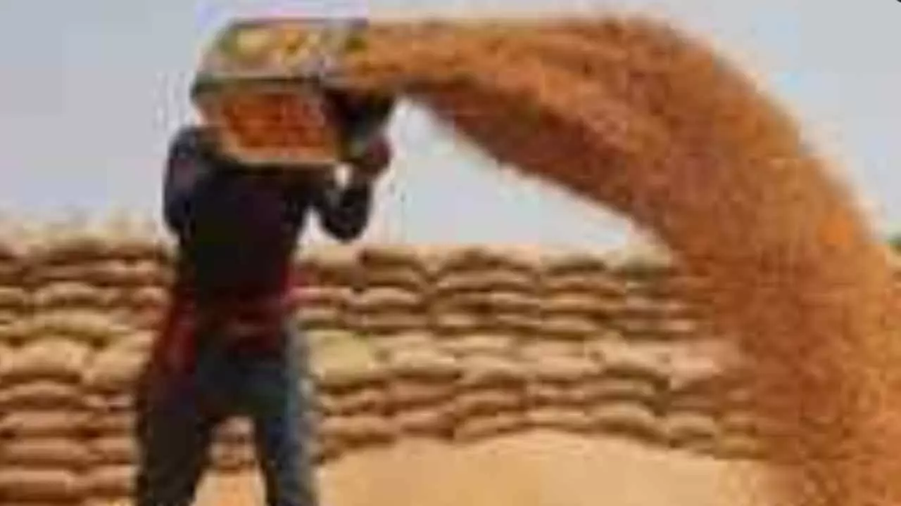 Chandauli News: गेहूं खरीद पर युद्ध की मार: ईरान–इजरायल संघर्ष से बोरे की कमी, प्रशासन ने निकाला अस्थायी समाधान