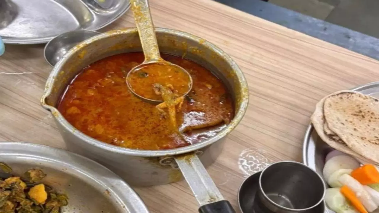 BHU के डालमिया हॉस्टल में हड़कंप, सब्जी में मिली मरी हुई छिपकली; छात्रों ने किया विरोध प्रदर्शन